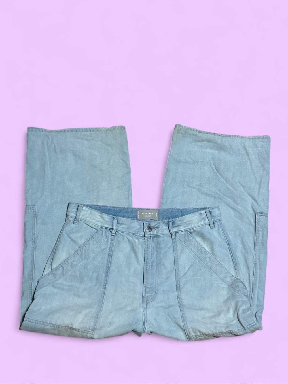 Everlane Light Wash Wide Leg Carpenter Jeans Goth Dark Academia Organic Cotton